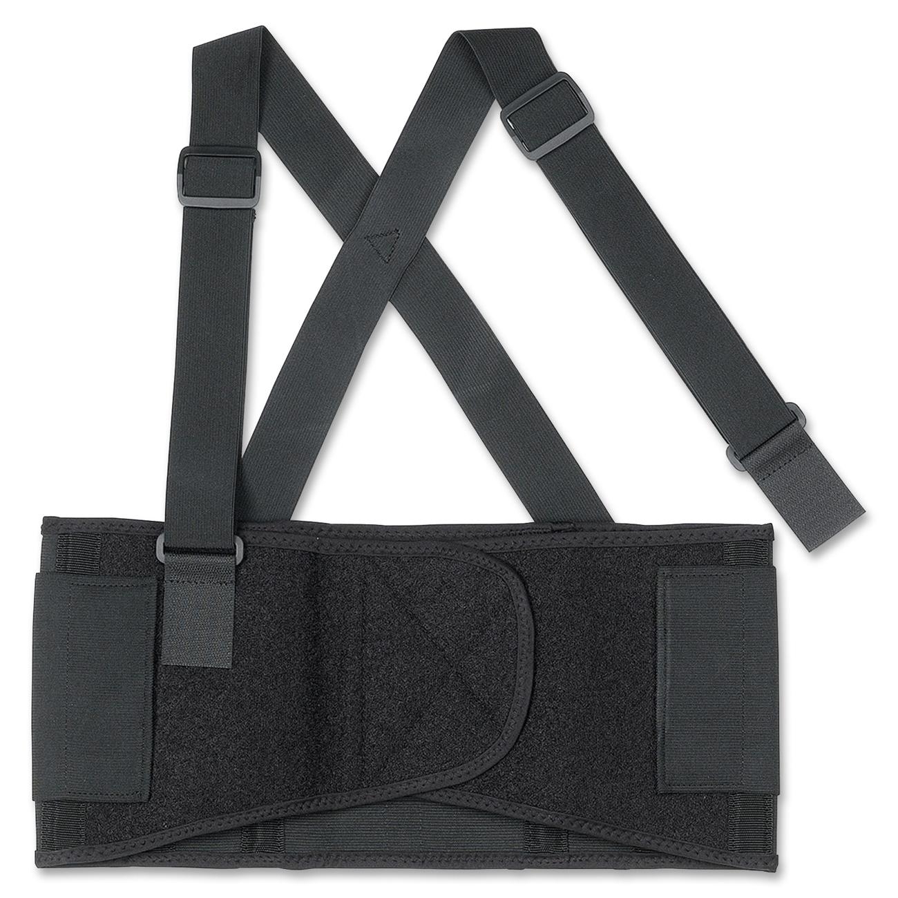 Ergodyne Back Support - LD Products