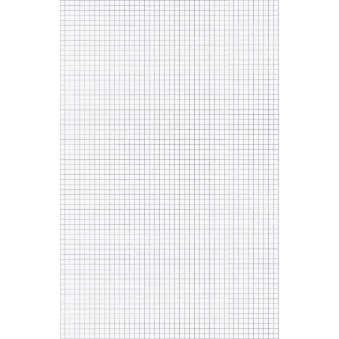 Ampad Quadrille/Graph Pad - 1 pad - 100 Sheets - 15 lb - 8.50 x