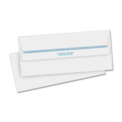 Business Source Security Invoice Envelope - 500 per box