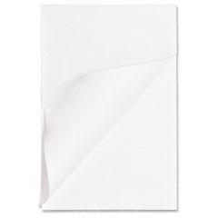 Business Source Memo Pad - 12 per carton - 4" x 6" - White Paper