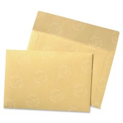 Quality Park Filing Envelopes - 100 per box