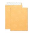 Business Source Catalog Envelope - 250 per box