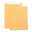 Business Source Catalog Envelope - 250 per box