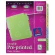 Avery Preprinted Monthly Plastic Divider - 12 per set