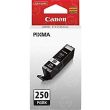 Canon OEM PGI-250 SY Black Ink Cartridge