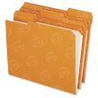 Pendaflex Reinforced Top Tab Colored File Folder - 100 per box