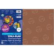 Tru-Ray Construction Paper - 50 per pack