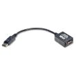 Tripp Lite 6in DisplayPort to VGA Adapter Active Converter DP to VGA M/F 6"