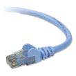 Belkin Cat6 Patch Cable