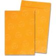 Quality Park Jumbo Envelopes - 25 per box