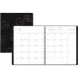 At-A-Glance Contemporary Monthly Planner