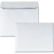 Quality Park Booklet Envelope - 250 per box